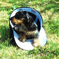 Take Me Out to the Ball Park