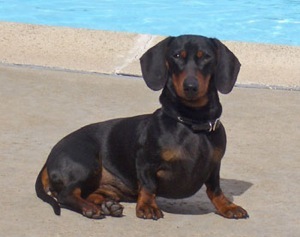 Guinness and Savannah