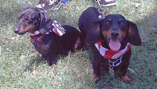 Phantom and Guinness